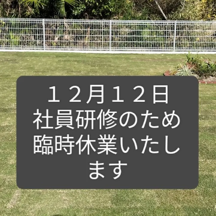 12月12日