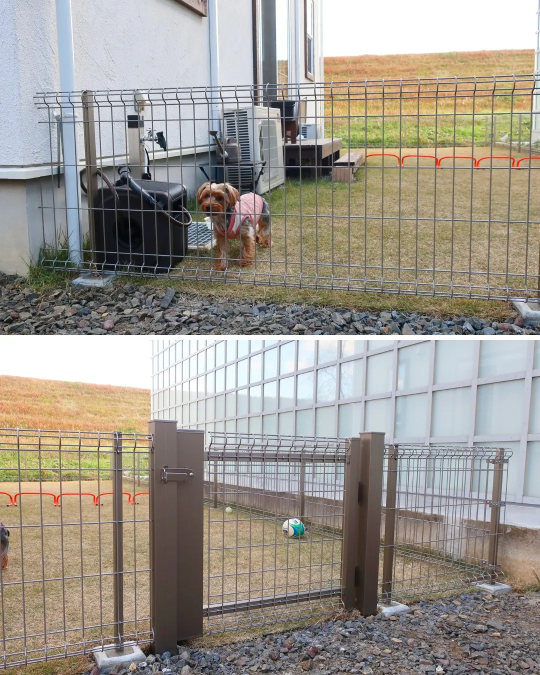 ワンちゃんが安心して過ごせるお庭に🐾✨